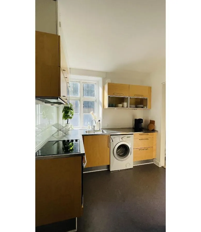 Apartmentincopenhagen Apartment 1514 Denmark